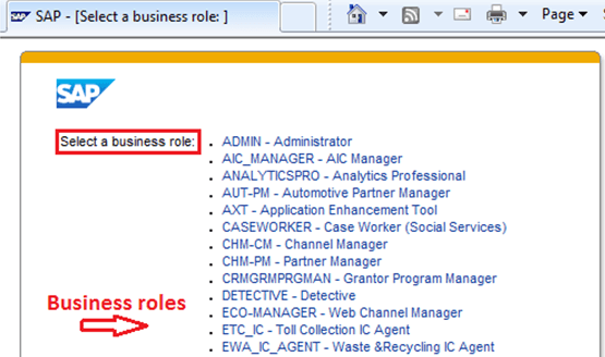 Business Role selection