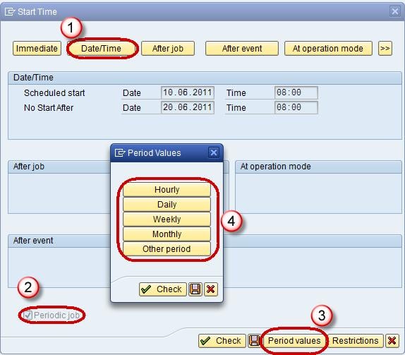 Create a Process Chain in SAP