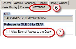SAP Query Properties