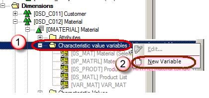 SAP Variables