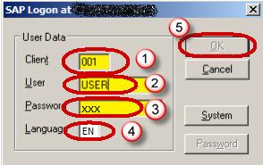 SAP Accessing Query Designer