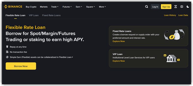 Binance Loans