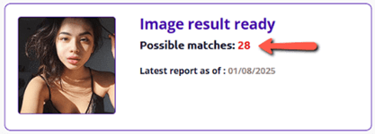 Social Catfish to Reverse-Search an Image