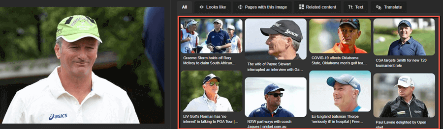 Search Social Networks by Profile Photo using Bing Visual Search
