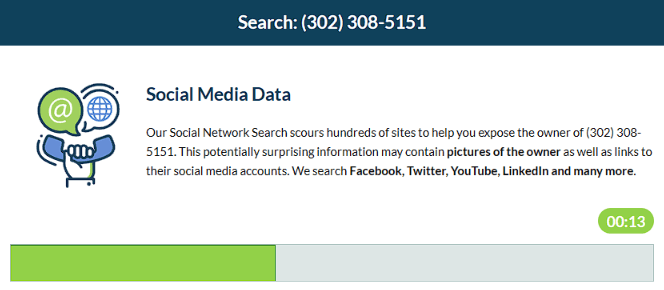 Intelius Search Process