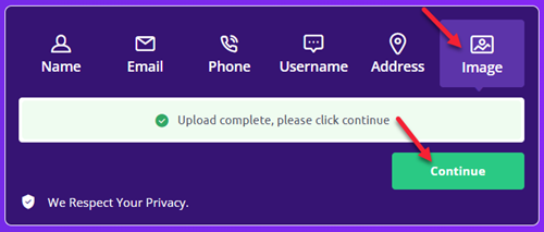 Social Catfish image upload interface