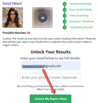 Social Catfish Report Results