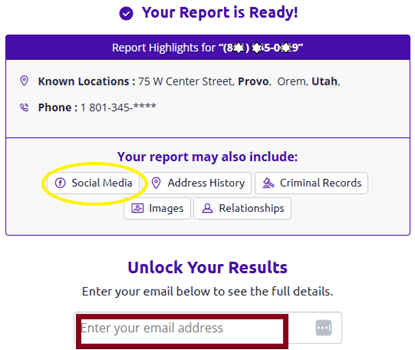 Social Catfish email verification page