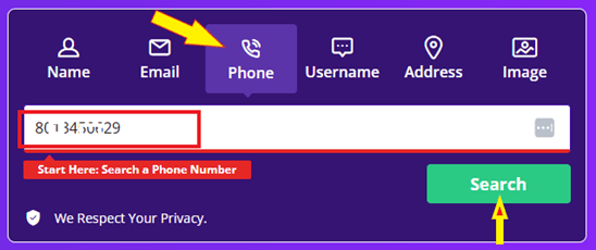 Social Catfish phone search interface
