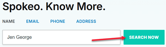 Spokeo search interface