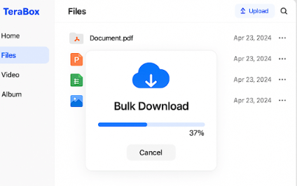 TeraBox Download Features