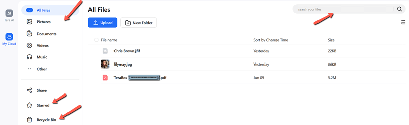 TeraBox File Management Tools
