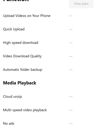 TeraBox Premium Plan