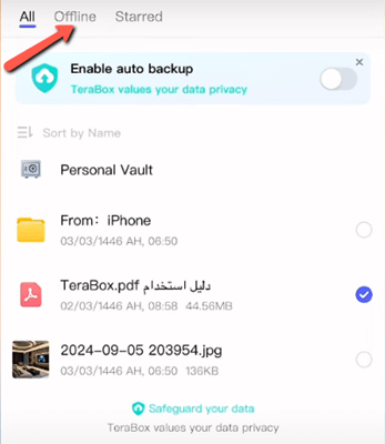 TeraBox Offline Access