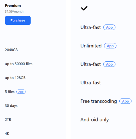 TeraBox Premium Plan