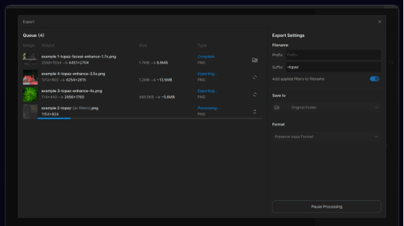 Export Options interface