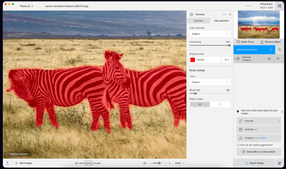 Masking & Selection feature interface