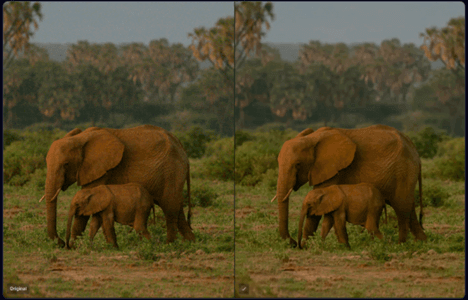 RAW Denoise feature interface