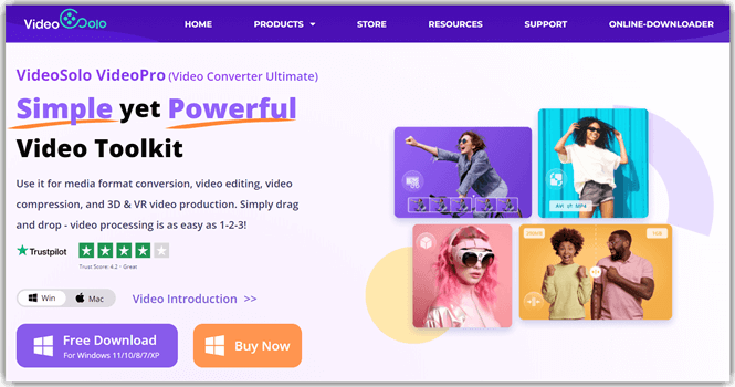 VideoSolo Video Converter