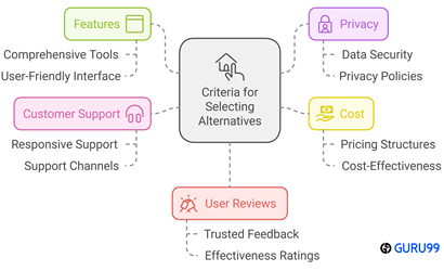 Choose Right Pimeyes Alternatives