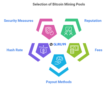 selection of bitcoin mining pools